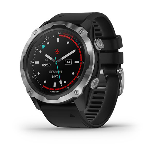 Garmin Descent Mk2 - Stainless Steel with Black Band