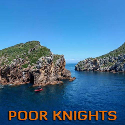 Poor Knights Island (2 Dive Trip)