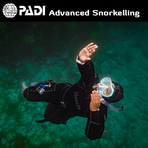 PADI Advanced Snorkelling