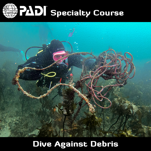 PADI Dive Against Debris Diver Speciality