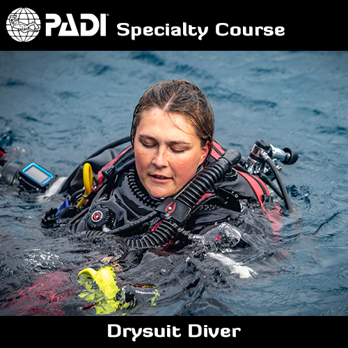 PADI Drysuit Diver Speciality