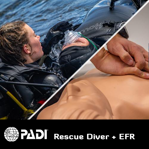 PADI Rescue Diver + EFR (First Aid)