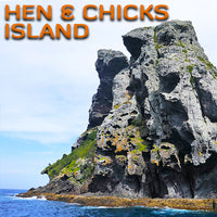 Hen & Chicks Island Dive Trip (2 Dive Trip)