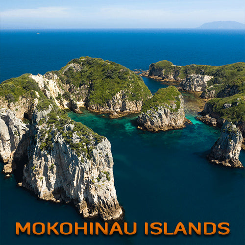 Mokohinau Islands Dive Trip (2 Dive Trip)