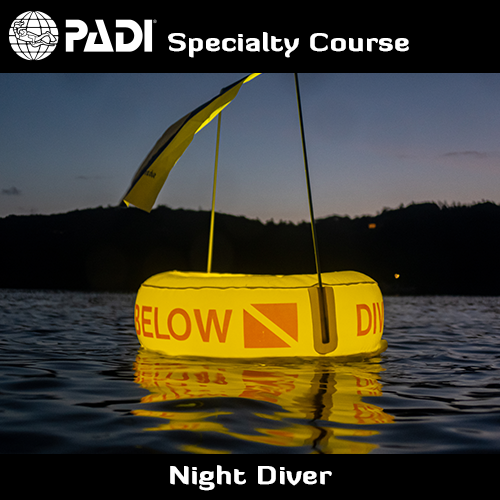PADI Night Diver Speciality