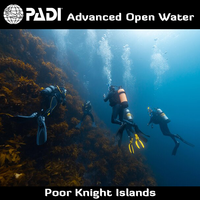 PADI Advanced Open Water (Knights)
