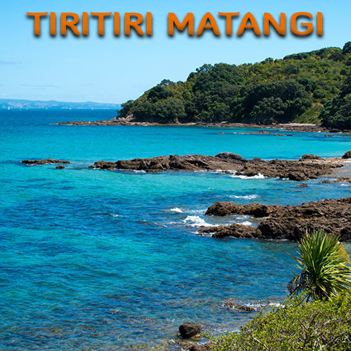 Tiritiri Matangi Island Dive Trip (2 Dive Trip)
